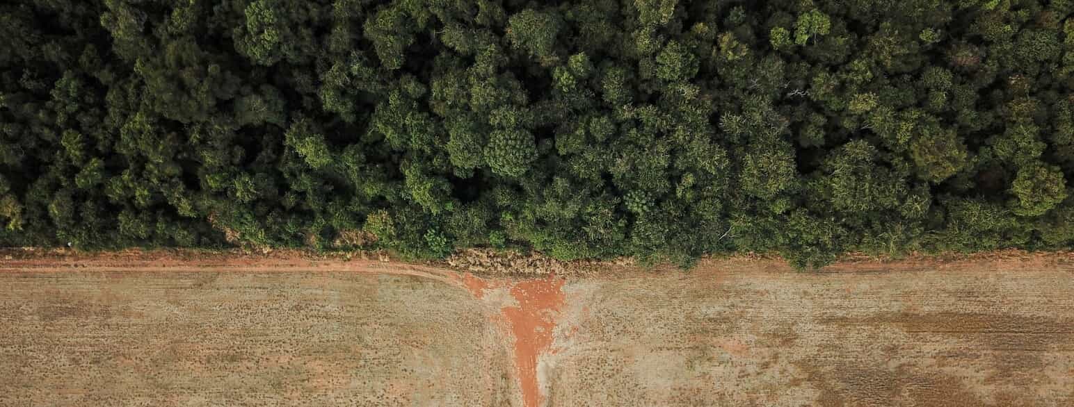 Amazonskovens bratte, menneskeskabte grænse fotograferet i 2021.