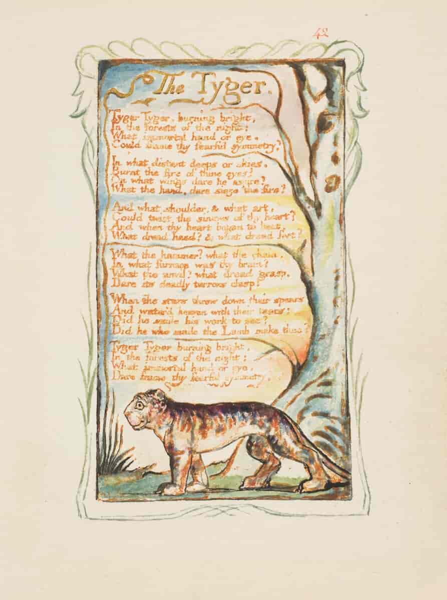 "Songs of Experience: The Tyger"