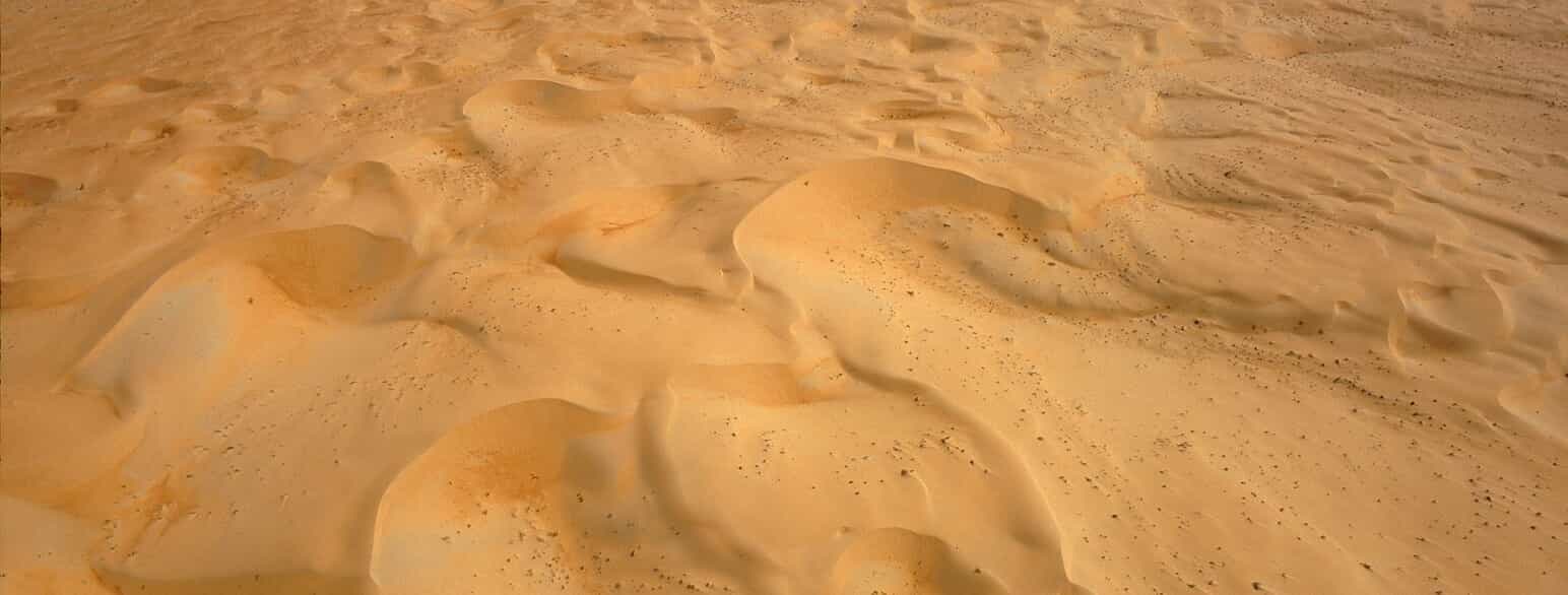 Sandørkenen nær al-Ain i De Forenede Arabiske Emirater.