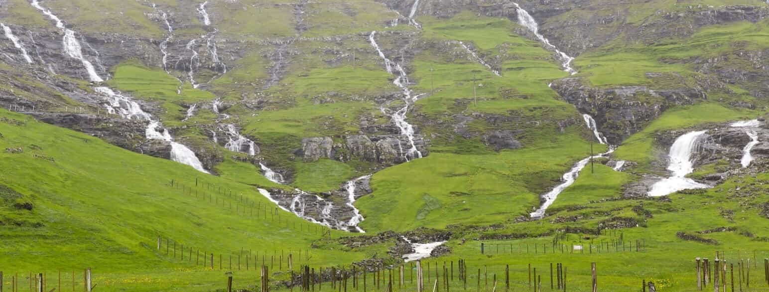Talrige store åer præger fjeldsiden efter nedbør ved Tjørnuvík.