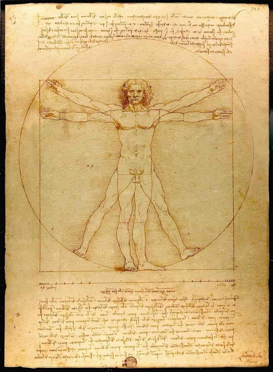 Leonardo da Vincis vitruvianske mand (Homo vitruvianus).