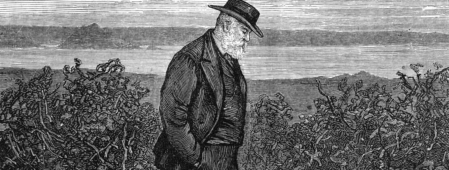 Victor Hugo under sit eksil på Guernsey. Udateret gravering fra omkring 1860.