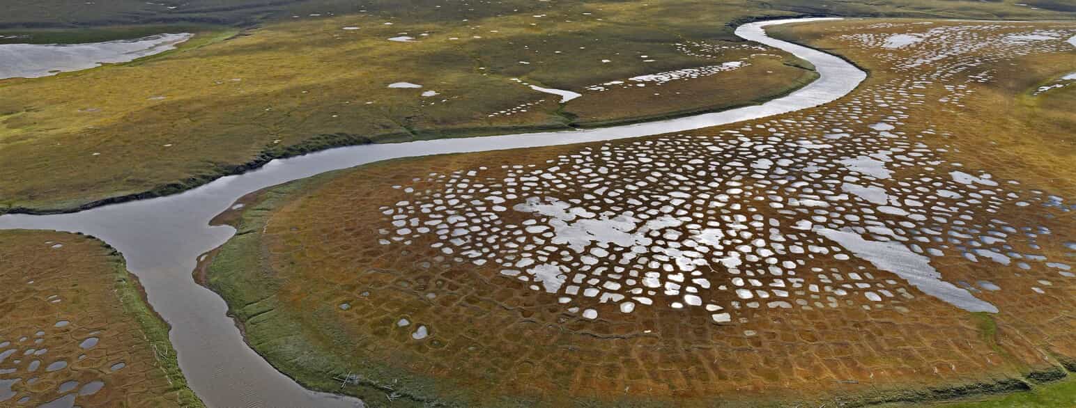 Område med permafrost ved deltaet omkring floden Lena i Sibirien, Rusland