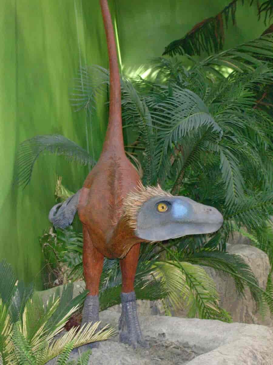 Dromaeosauride bornholmensis