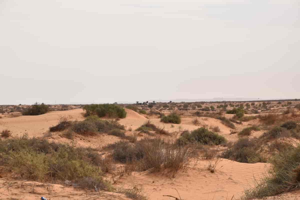 Ørkenlandskab i Tunesien