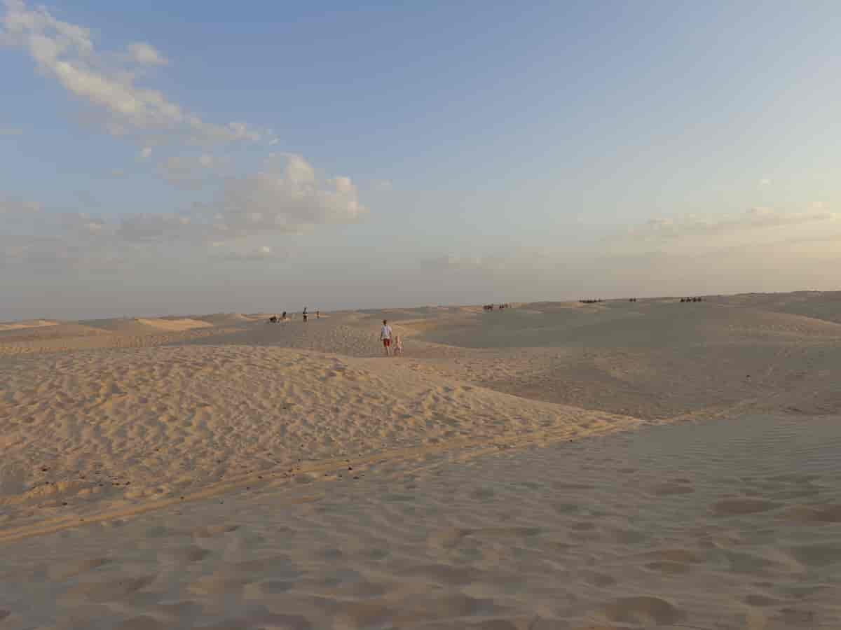 Ørken syd for Douz i Tunesien