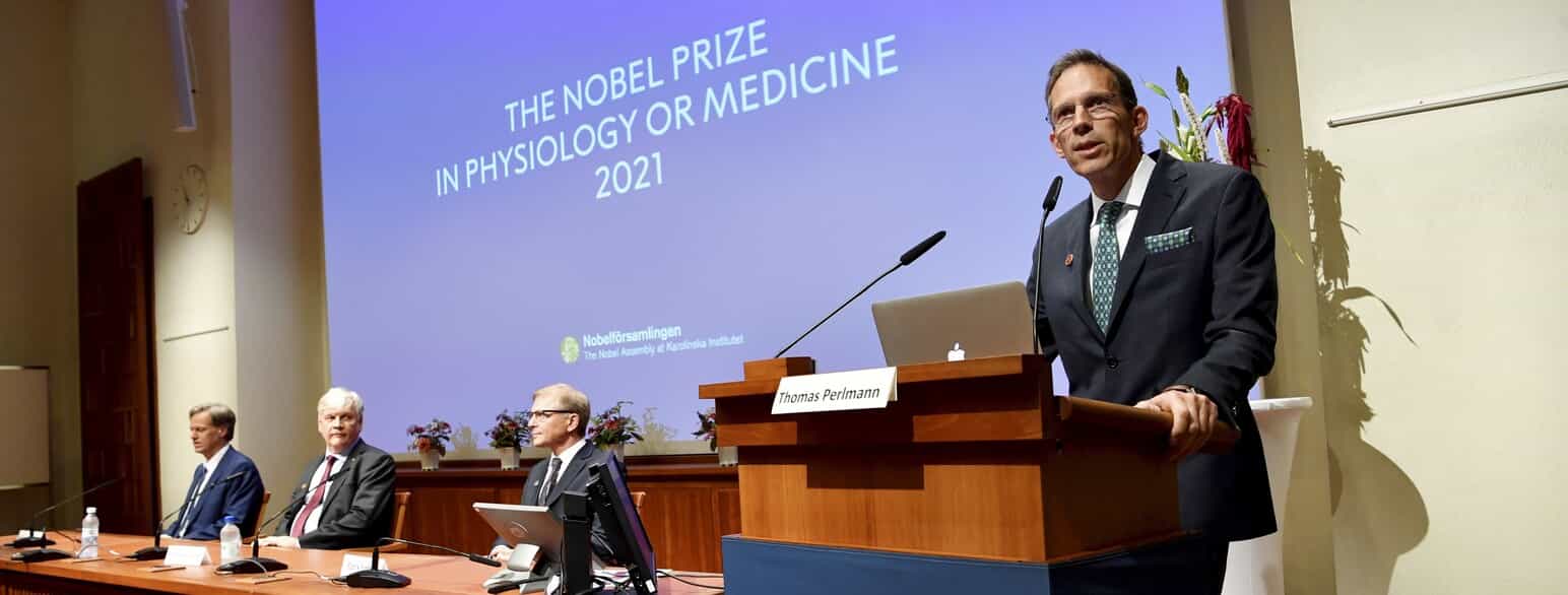 Modtagerne af Nobelprisen i fysiologi/medicin udpeges af Karolinska institutet. På billedet præsenterer Nobelkomitéens formand Thomas Perlmann årets modtagere i 2022. 