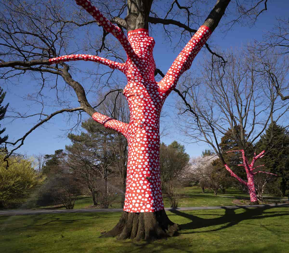 "Ascension of Polka Dots on the Trees" af Yayoi Kusama