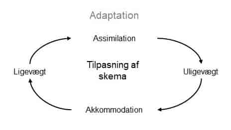 Illustration af adaptationsprocessen.