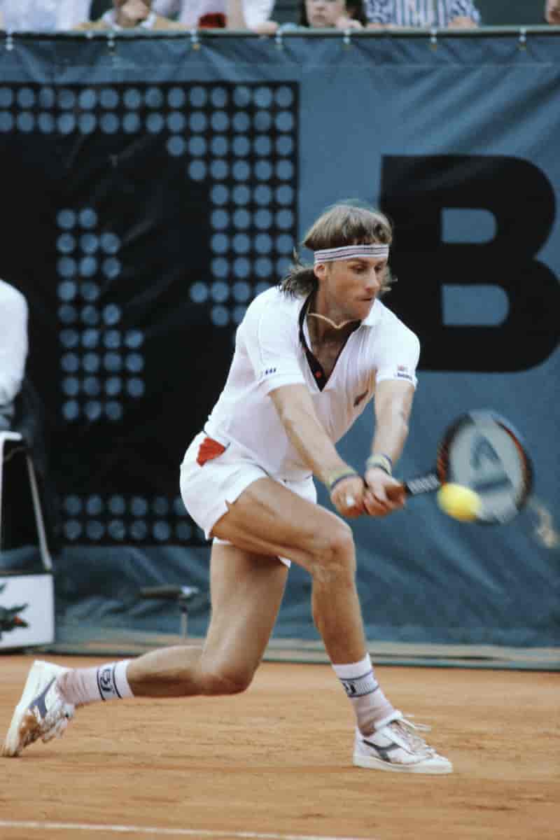 Björn Borg i French Open, 1981