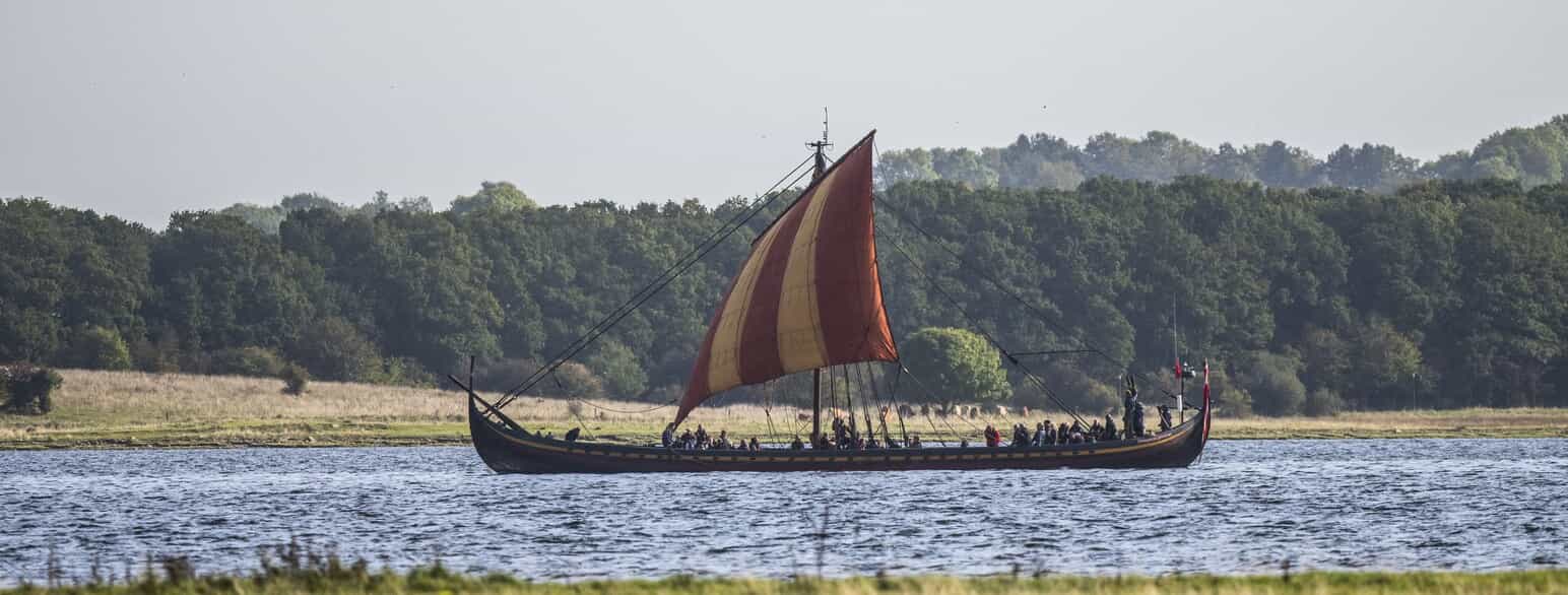 Havhingsten, en rekonstruktion af et af vikingeskibene fundet i Roskilde Fjord.