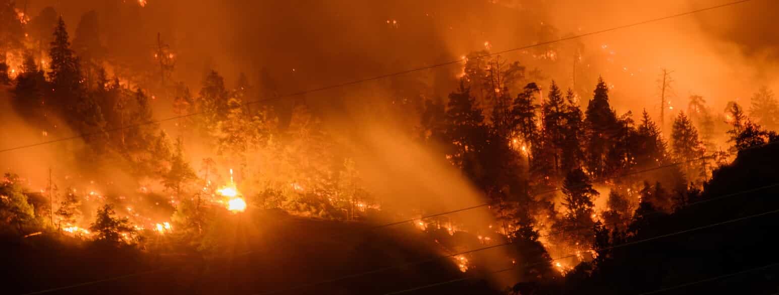 Skovbrand i Bitsch i Schweiz i juli 2023
