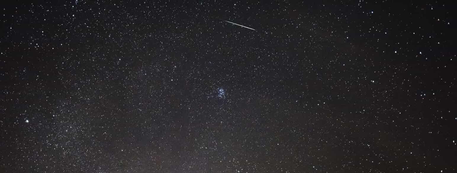 Perseiderne - meteorregn over Joshua Tree National Park, den 9. oktober 2015.