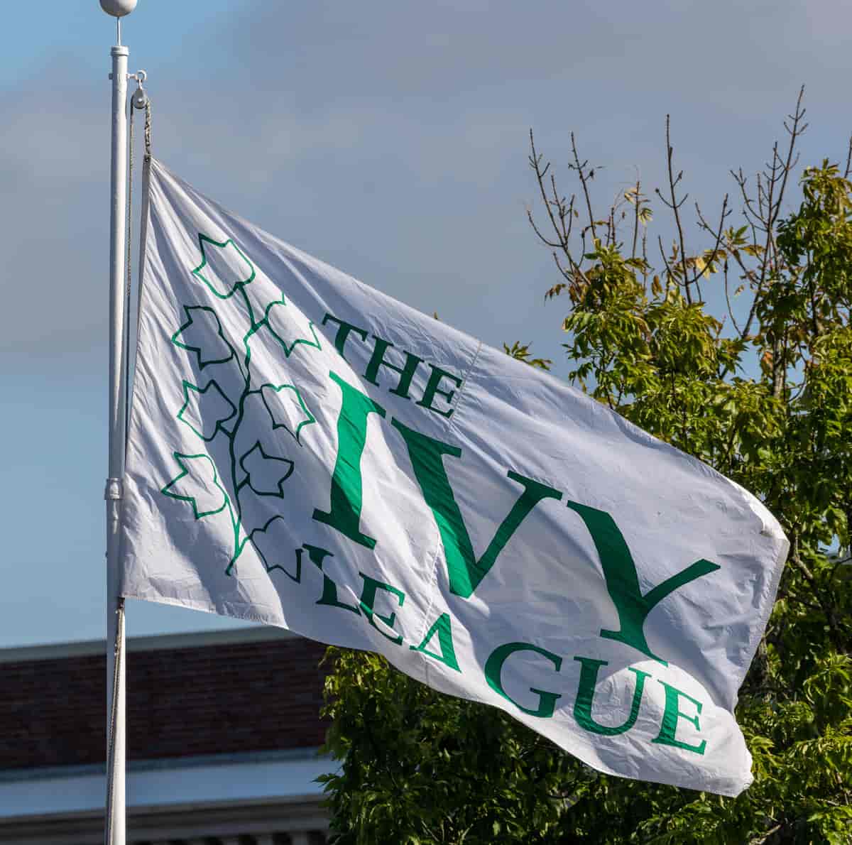 Flag med Ivy Leagues logo