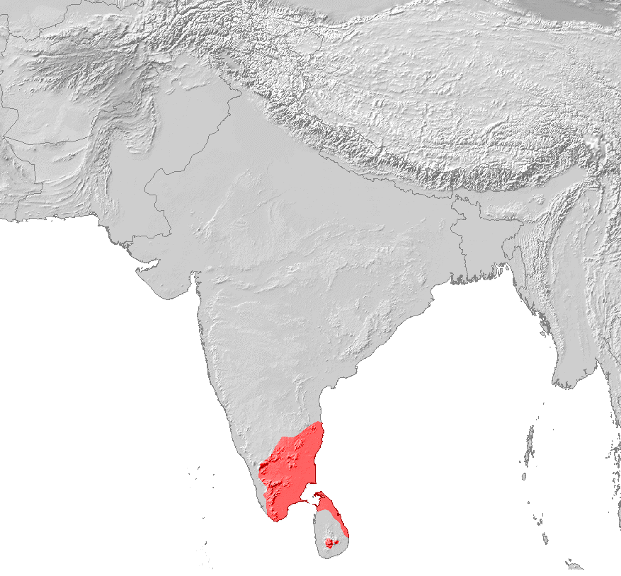 Tamiltalende områder i Sydindien og Sri Lanka