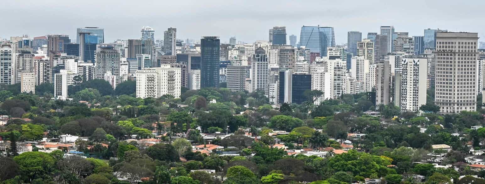 São Paulos skyline rejser sig bag det lave, delvis skovbevoksede Pinheiros-kvarter