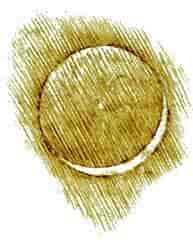 Jordskin på Månen, tegnet af Leonardo da Vinci, i 1510.