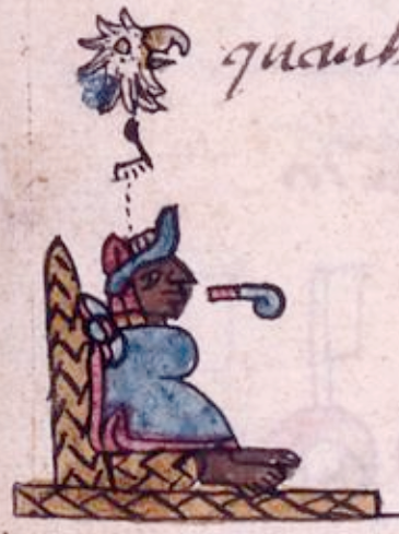 Afbildning af Cuauhtemoc i Codex Aubin (produceret før 1608)