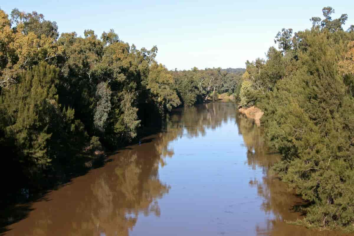 Macquarie River in flood