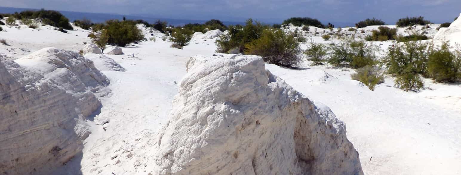 Hvide klitter af gips (calciumsulfat) i Dunas de Yeso uden for Cuatro Ciénegas i det centrale Coahuila