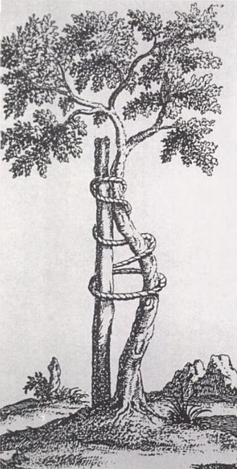 Symbolet for ortopædien, fra bogen Orthopédie, 1741