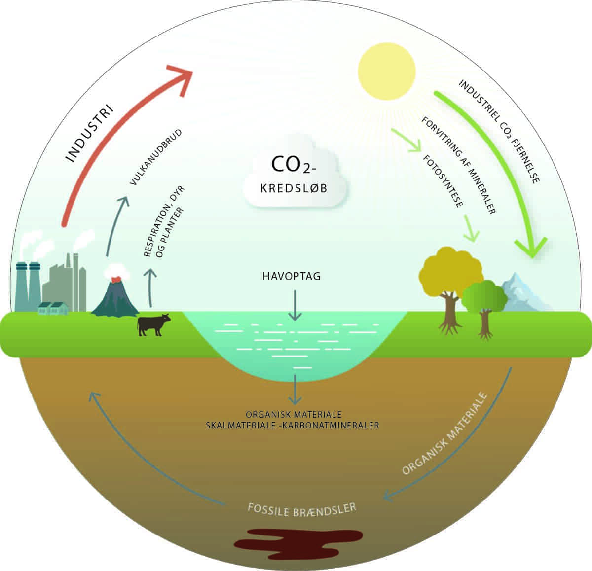 CO2 kredsløbet