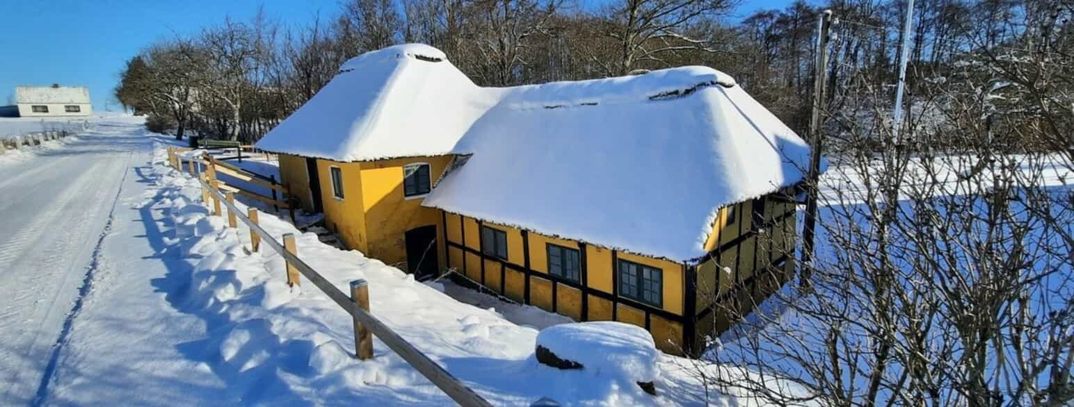 Dorf Vandmølle i sne, marts 2023