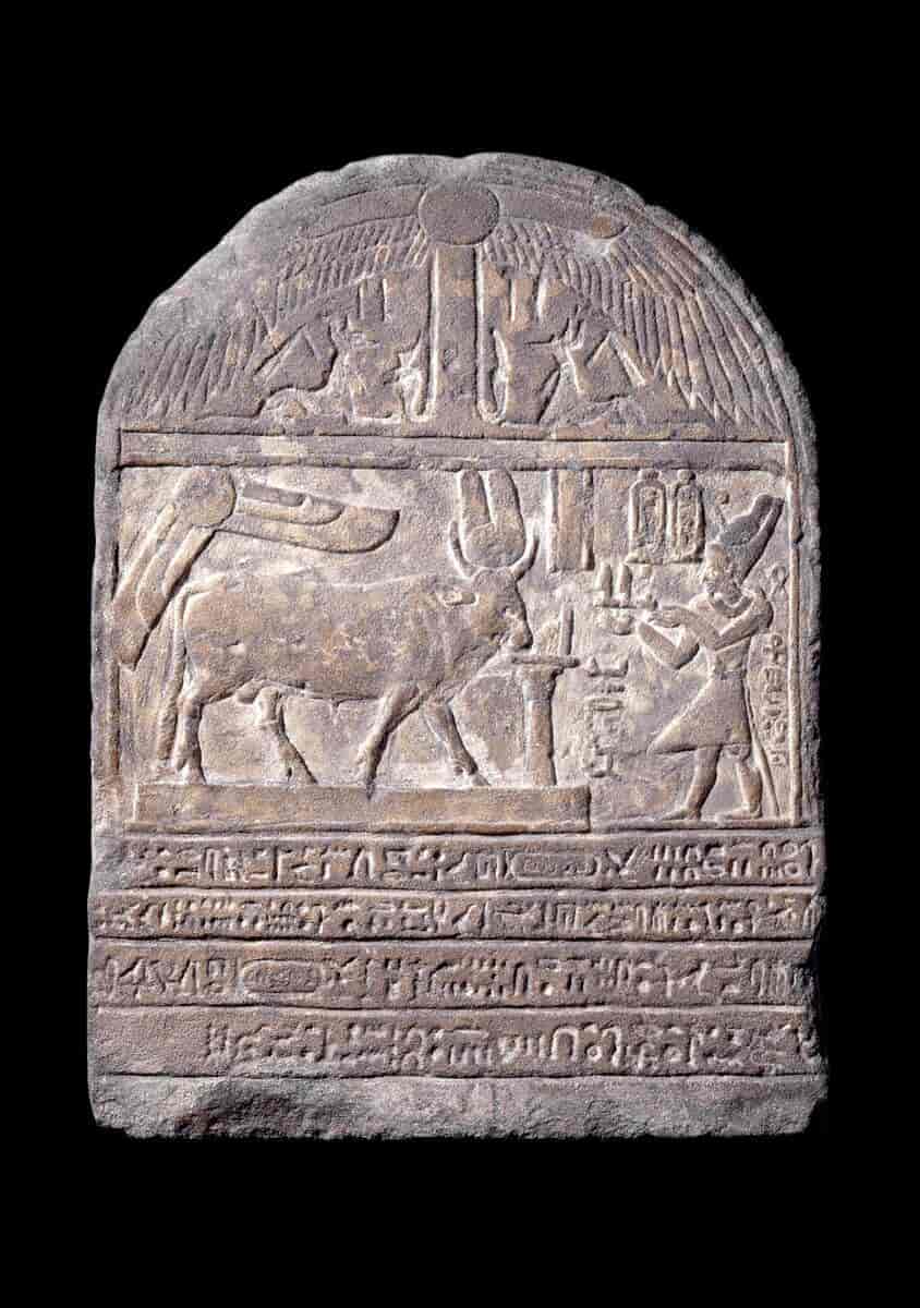 Stele med Ptolemaios II ofrende til Buchis-tyr