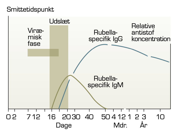 IgM og IgG ved rubella infektion