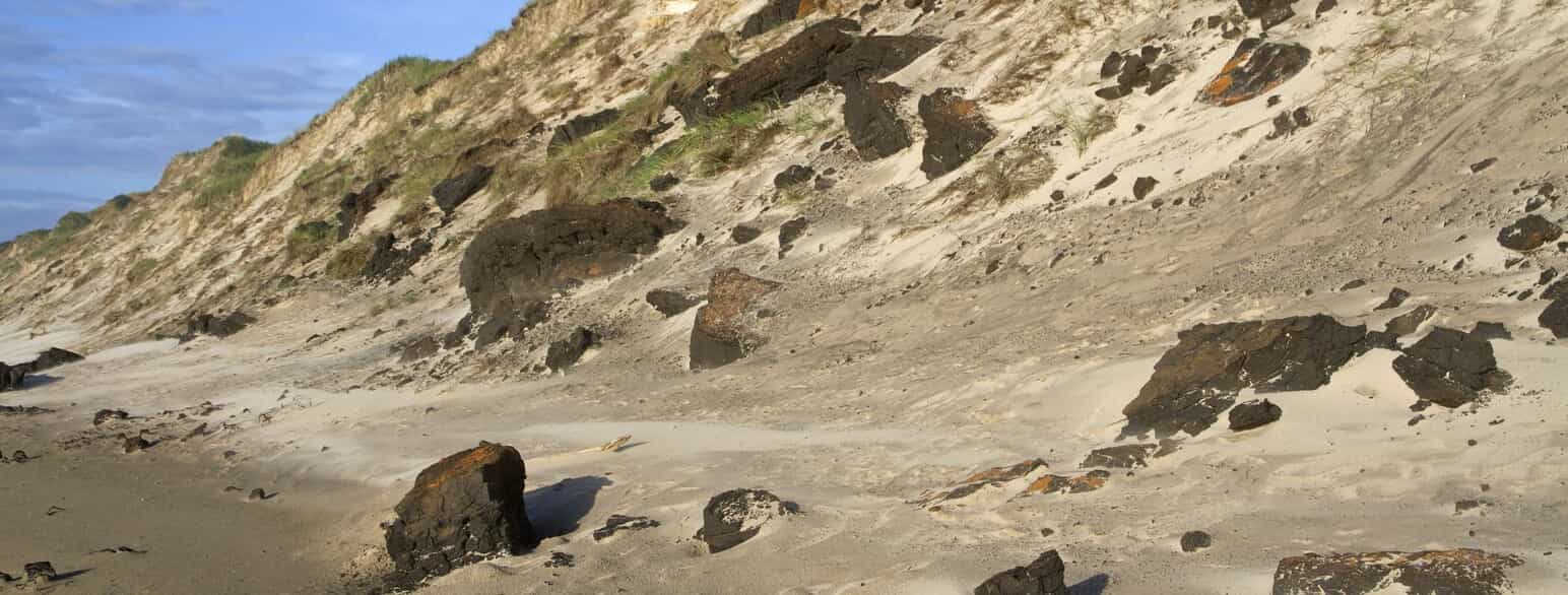 Ved Kandestederne er klumper af martørv eroderet ud af klinten og faldet ned på stranden.