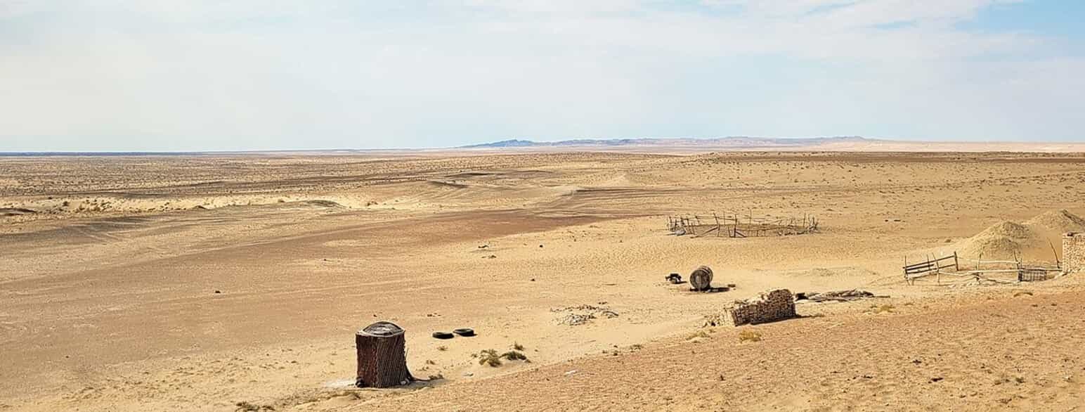 Kyzylkum-ørkenen