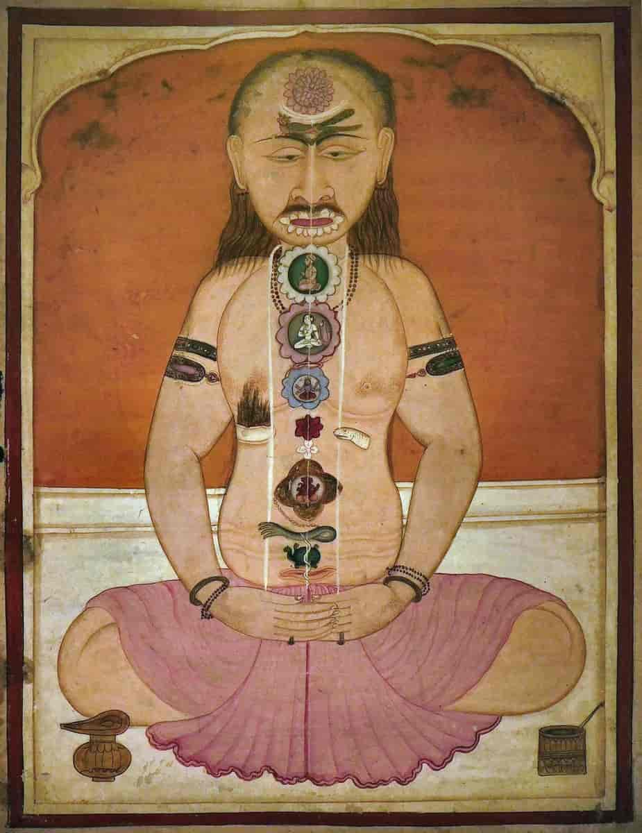 Yogi med chakraer