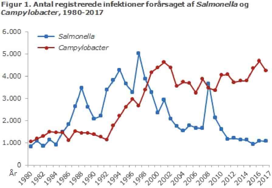 Salmonella og Campylobacter i Danmark 1980-2017