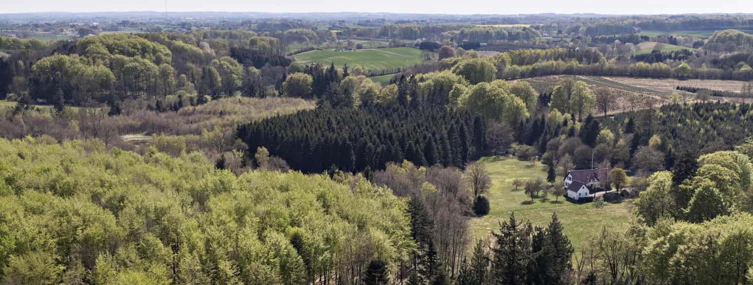 I 2022 købte Den Danske Naturfond ca. 170 ha af Hesbjerg Skov unden for Odense. Skoven rummer bl.a. Fyns sidste bestand af engperlemorsommerfugl