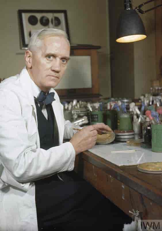 Professor Alexander Fleming i sit laboratorie i St. Mary's, Paddington, London (1943)