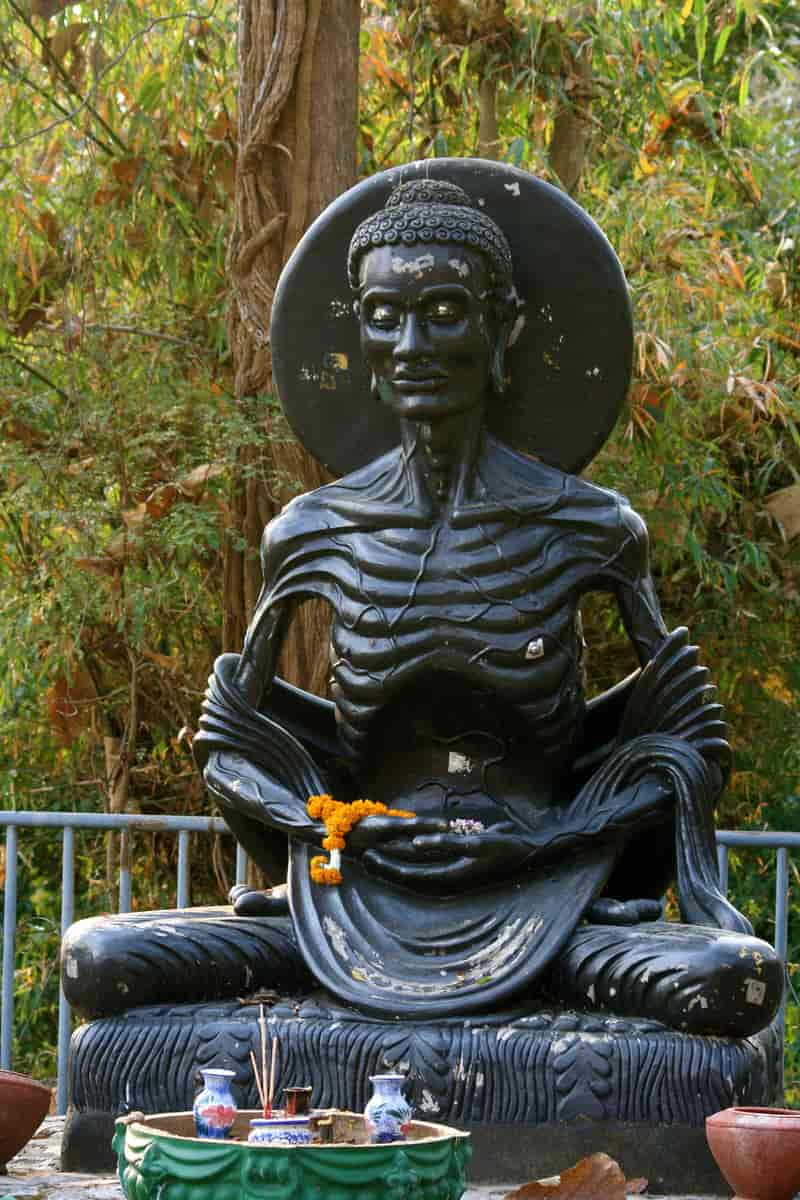 Fastende Buddha