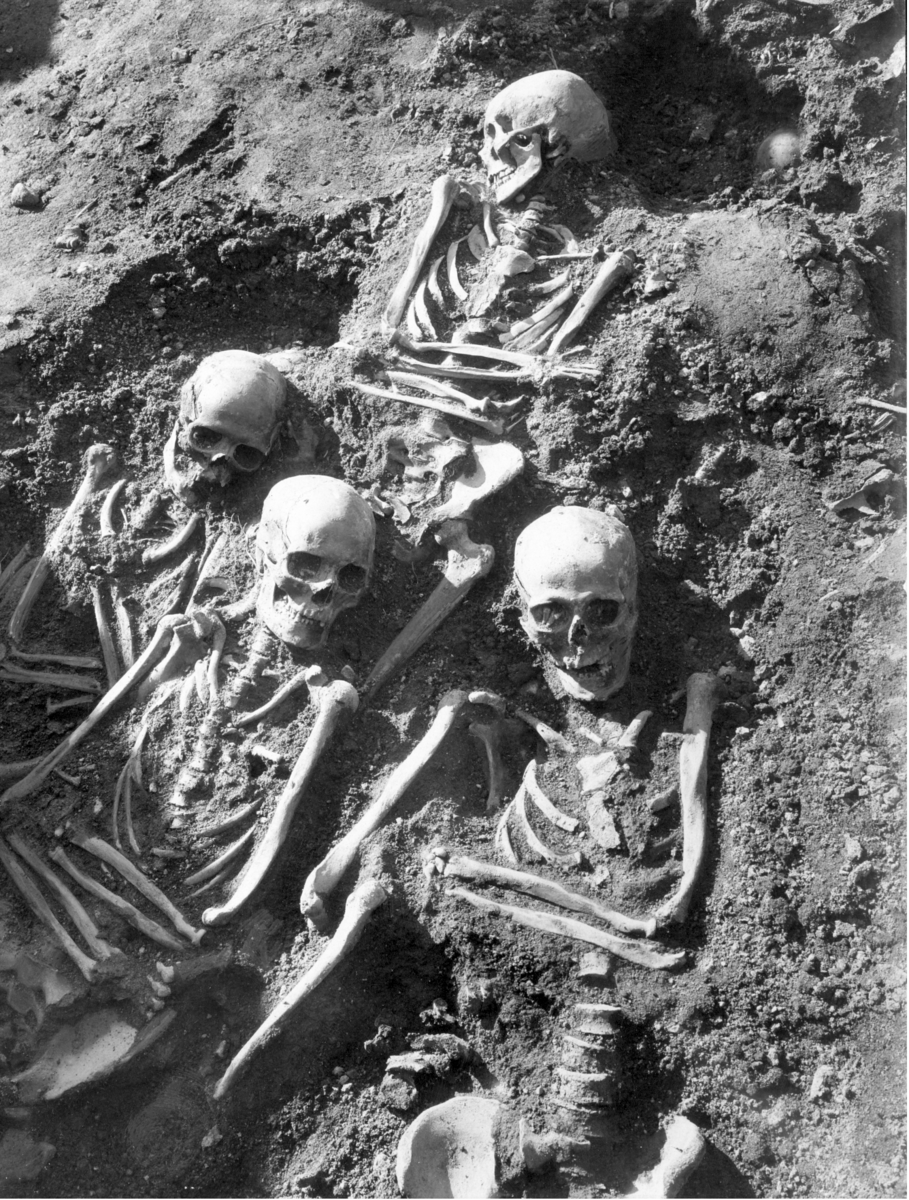 Skeletter fra kirkegården på Sandnæs