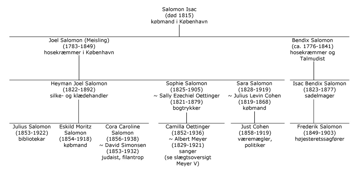 Salomon | lex.dk Dansk Leksikon