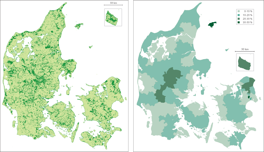 Bangladesh Træde tilbage polet Danmarks skove | lex.dk – Naturen i Danmark