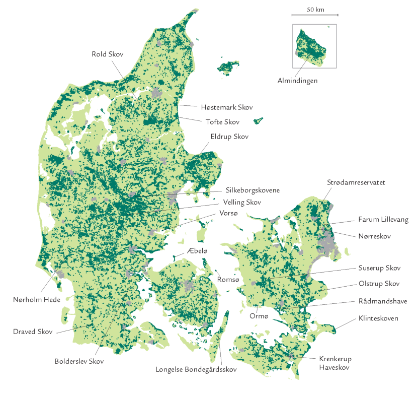 typisk Sparsommelig Destruktiv Urørt skov | lex.dk – Naturen i Danmark