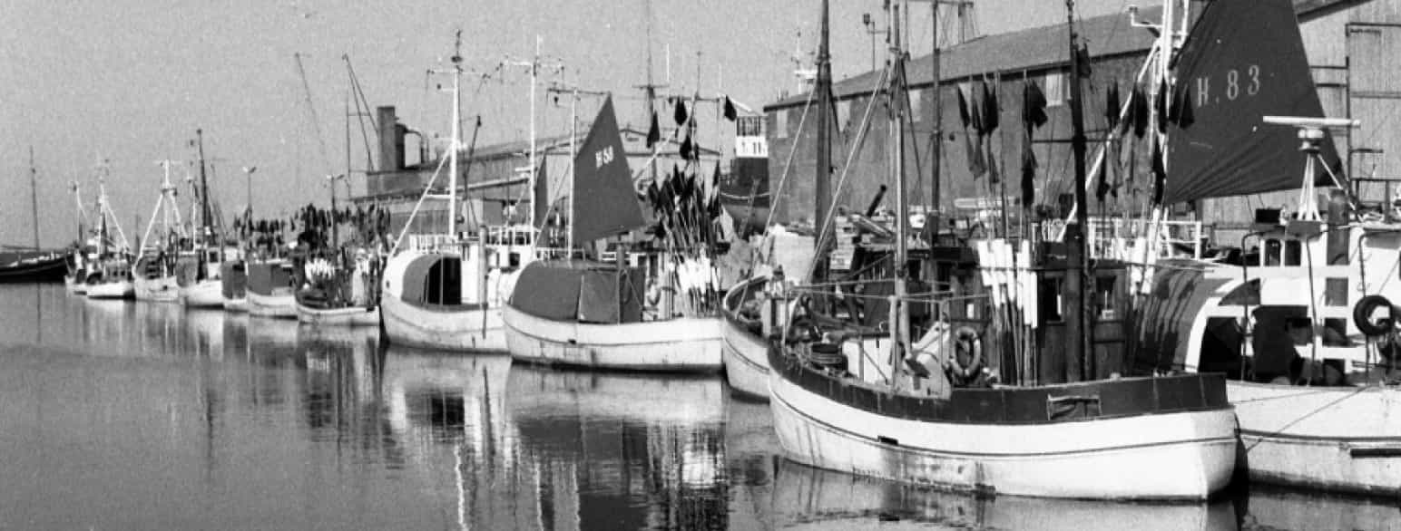 Havnen i Hundested i 1993