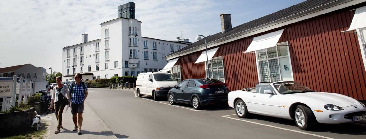 Fysiurgisk Hospital i Hornbæk