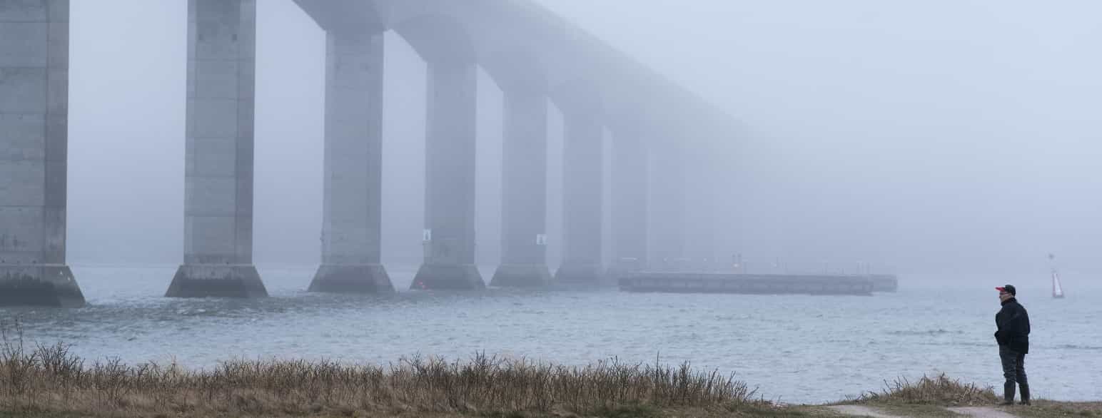 Sallingsundbroen i tåge