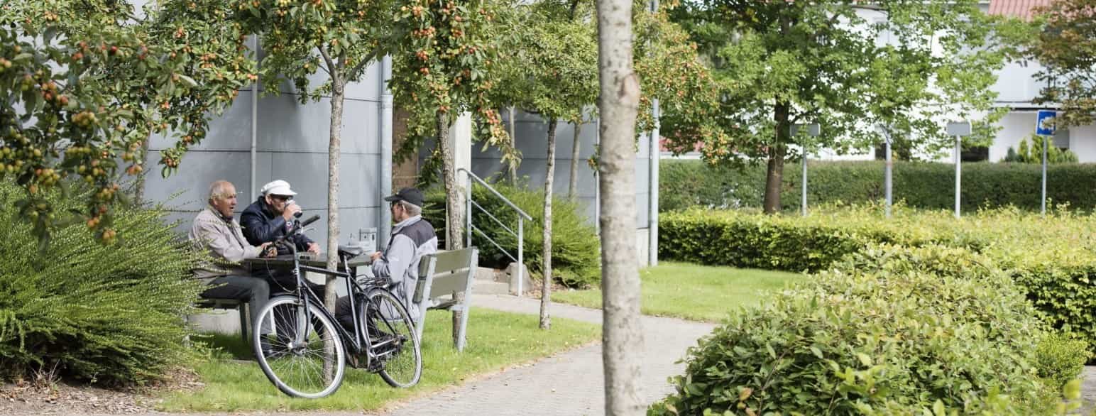 Ældre mænd på bænk i Aabybro