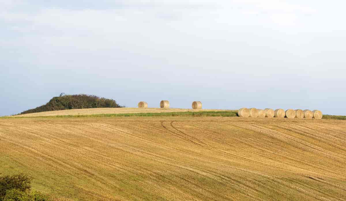 Landbrugslandskab ved Bjergby