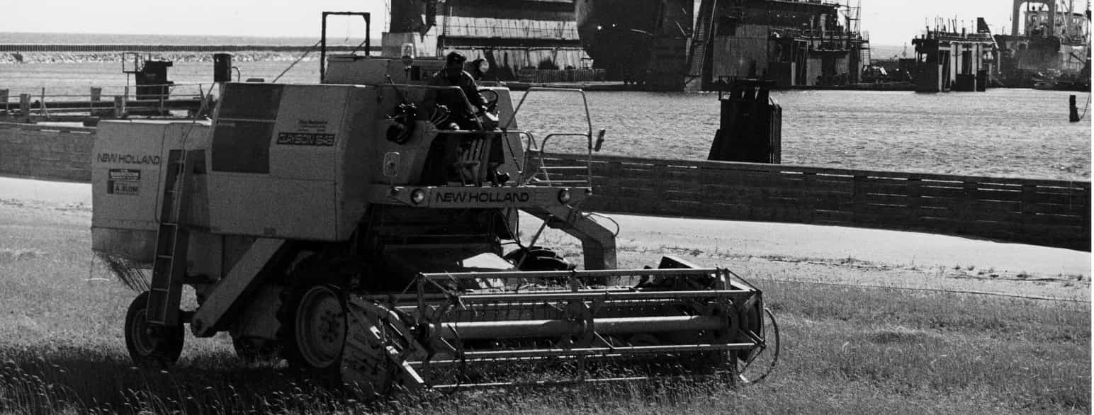 Høst ved Frederikshavn Havn, 1977