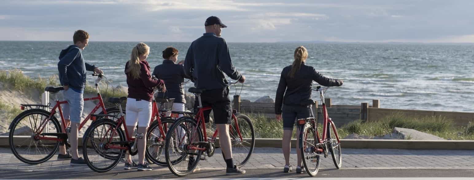 Cykelister nyder udsigten ved Vesterø Havn
