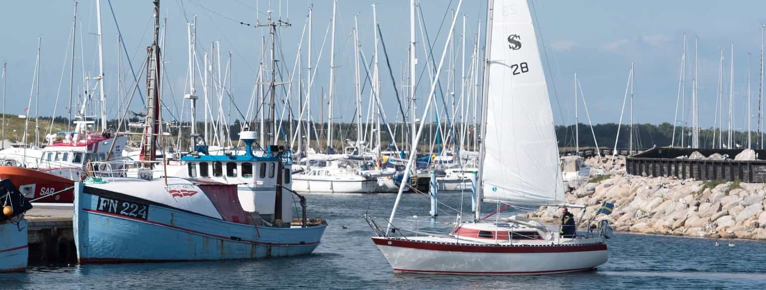 Østerby havn med fiskekutter og sejlbåd