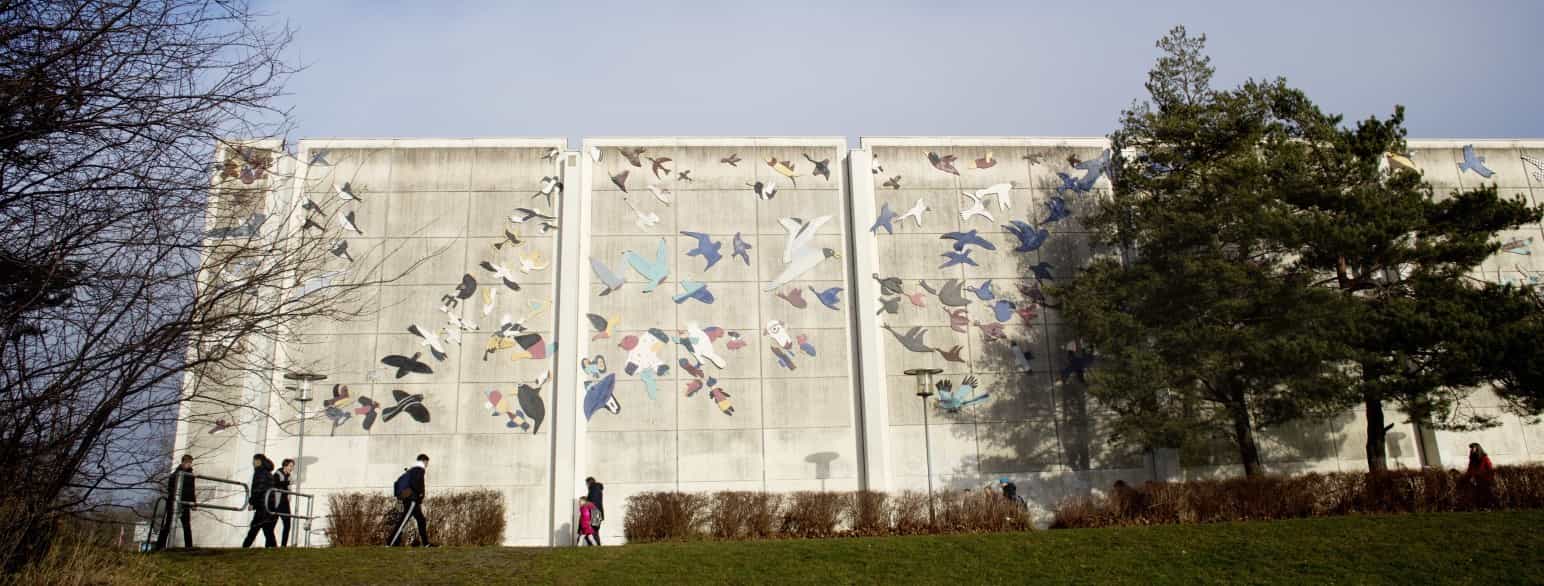 Kildegårdskolens afdeling Vest i Dildhaven, hvor de mere end 300 træfugle med titlen "Fuglene flyver" er opsat på skolens idrætshal