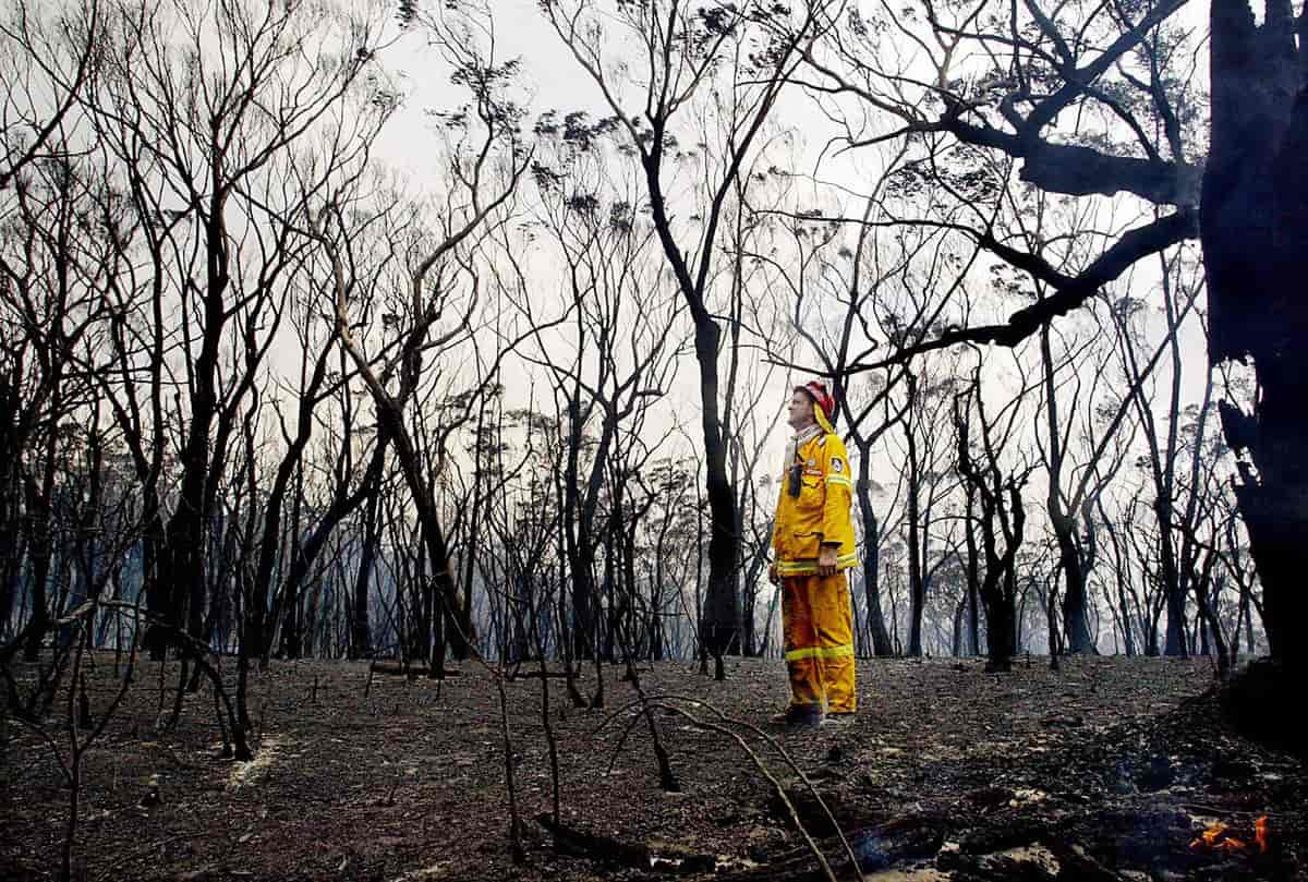 En brandmand kigger på skaderne efter en skovbrand i Blue Mountains i Australien 2002